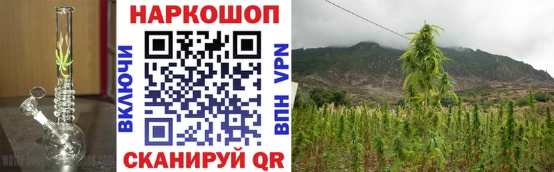 Названия наркотиков Киров КОКАИН  МЕФ  A PVP  Амфетамин  Канабис 