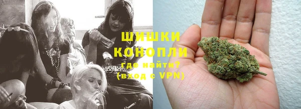 дмт Алзамай