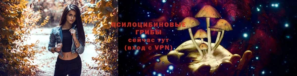 каннабис Алексеевка
