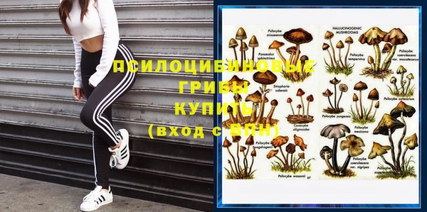 ECSTASY Абинск
